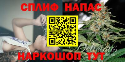 спиды Заводоуковск