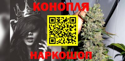 стафф Заволжье