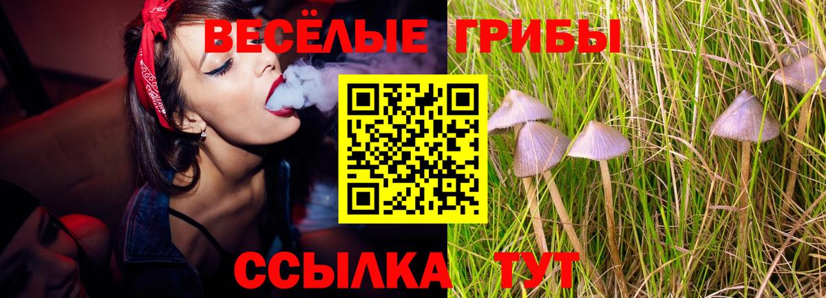 Псилоцибиновые грибы прущие грибы Ленинск-Кузнецкий